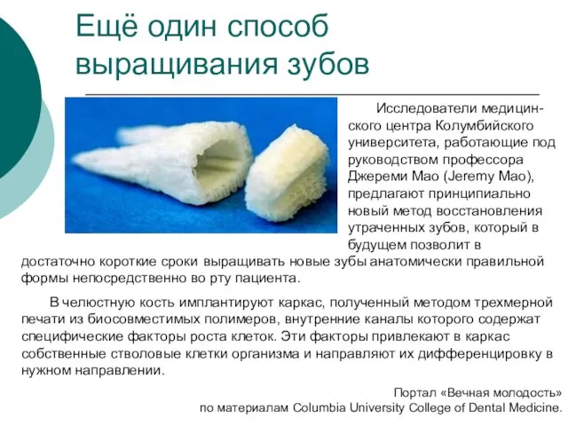 Ещё один способ выращивания зубов Исследователи медицин-ского центра Колумбийского университета, работающие под
