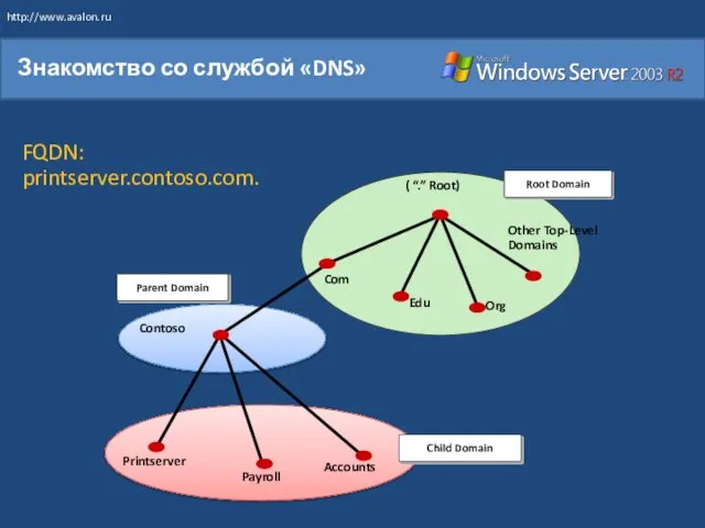 Знакомство со службой «DNS» Root Domain Child Domain Parent Domain Org Com