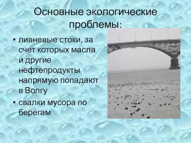 Основные экологические проблемы: ливневые стоки, за счет которых масла и другие нефтепродукты