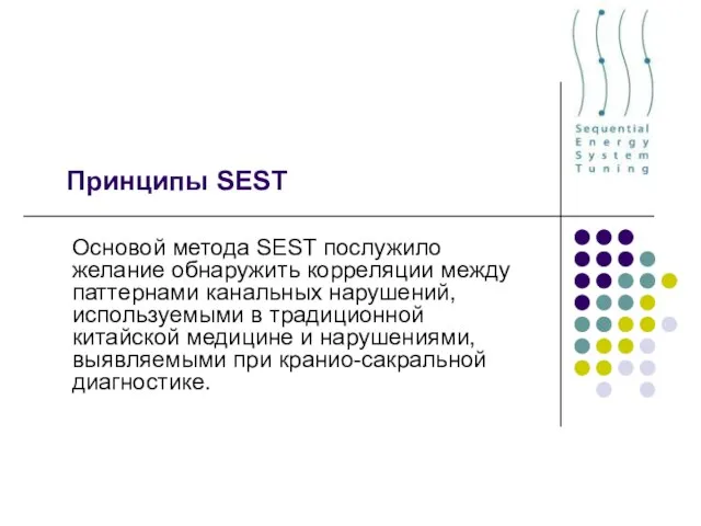 Принципы SEST Основой метода SEST послужило желание обнаружить корреляции между паттернами канальных