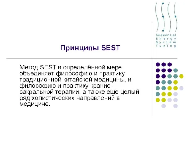 Принципы SEST Метод SEST в определённой мере объединяет философию и практику традиционной