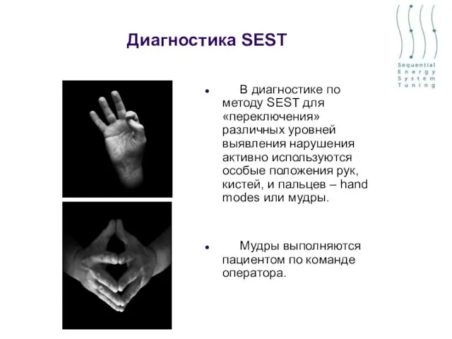 Диагностика SEST В диагностике по методу SEST для «переключения» различных уровней выявления