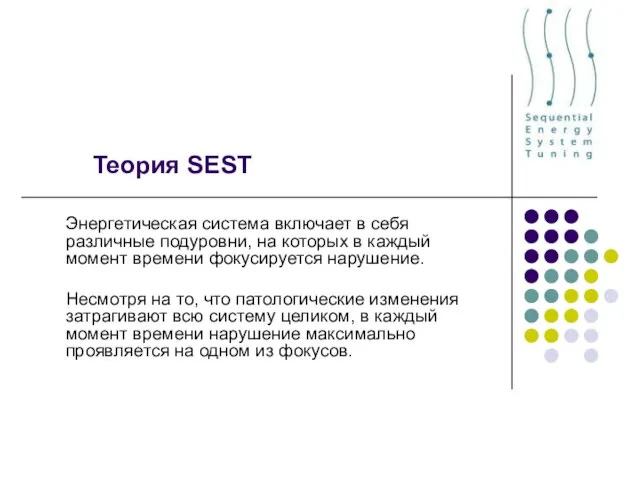 Теория SEST Энергетическая система включает в себя различные подуровни, на которых в