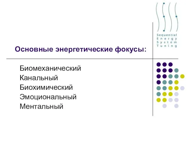 Основные энергетические фокусы: Биомеханический Канальный Биохимический Эмоциональный Ментальный