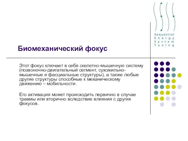 Биомеханический фокус Этот фокус ключает в себя скелетно-мышечную систему (позвоночно-двигательный сегмент, сухожильно-мышечные