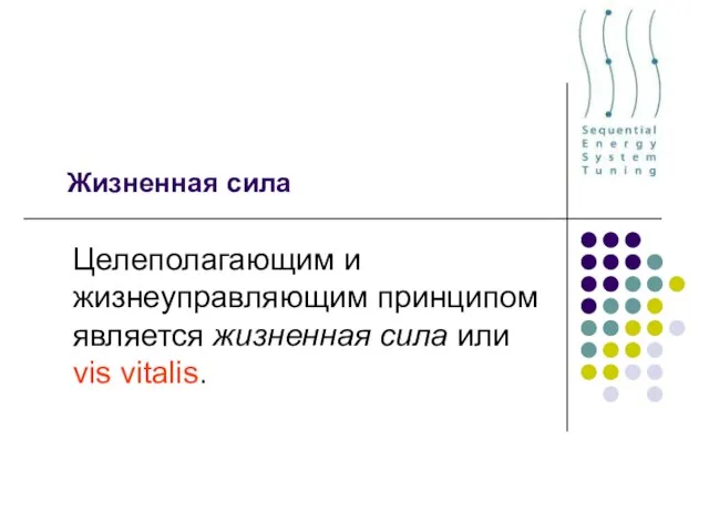 Жизненная сила Целеполагающим и жизнеуправляющим принципом является жизненная сила или vis vitalis.