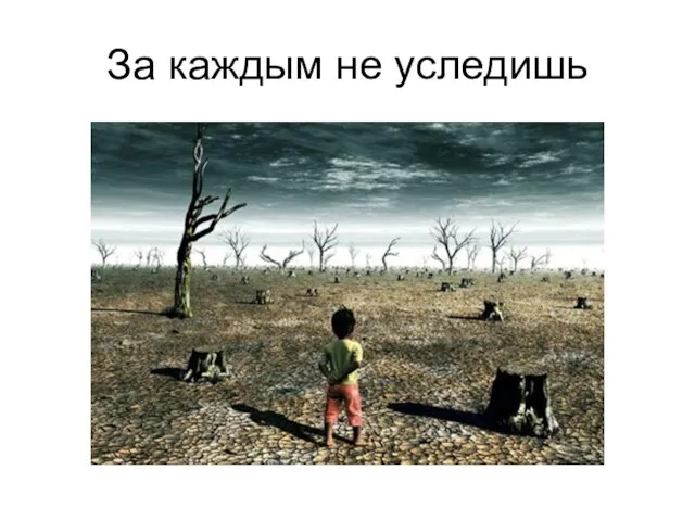 За каждым не уследишь