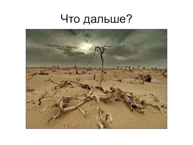 Что дальше?