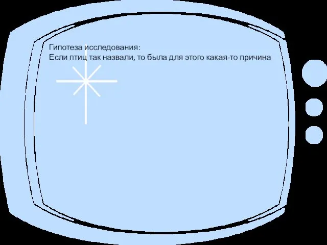 Гипотеза исследования: Если птиц так назвали, то была для этого какая-то причина