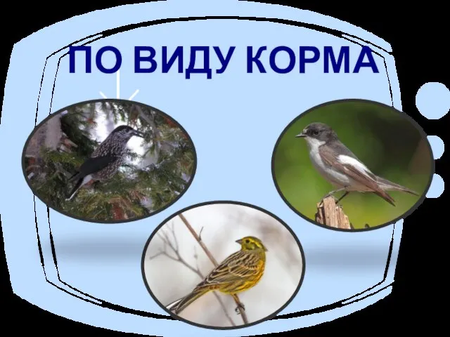 ПО ВИДУ КОРМА