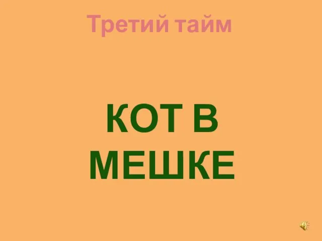 Третий тайм КОТ В МЕШКЕ