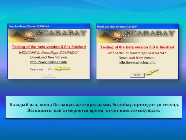 Каждый раз, когда Вы запускаете программу Scarabay, проходит 30 секунд. Вы видите,