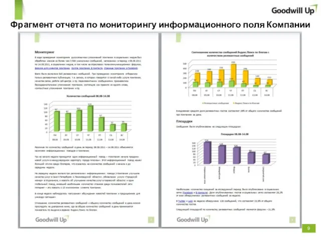 Фрагмент отчета по мониторингу информационного поля Компании