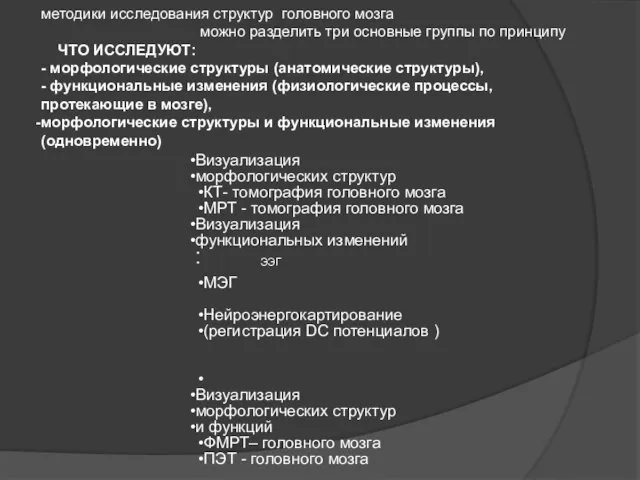 методики исследования структур головного мозга можно разделить три основные группы по принципу