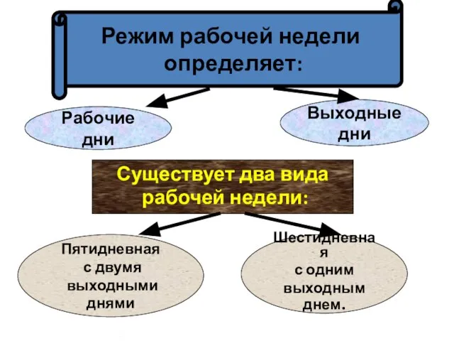 . . Режим рабочей недели определяет: Рабочие дни Выходные дни Существует два