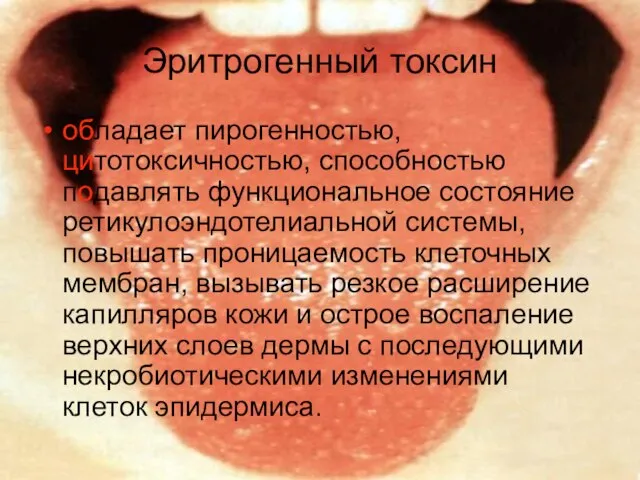 Эритрогенный токсин обладает пирогенностью, цитотоксичностью, способностью подавлять функциональное состояние ретикулоэндотелиальной системы, повышать