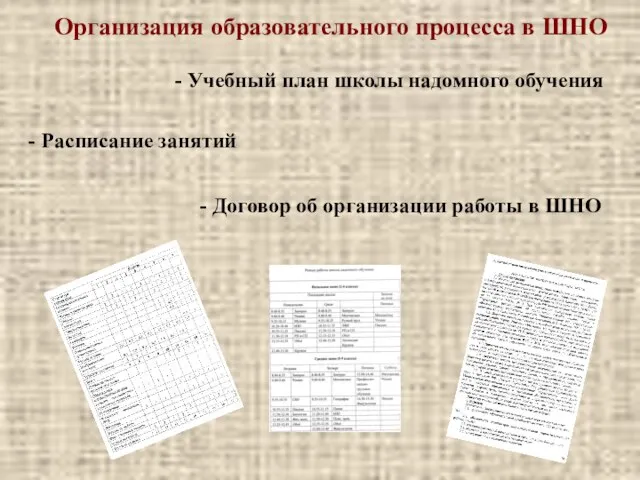 Организация образовательного процесса в ШНО - Учебный план школы надомного обучения -