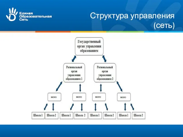 Структура управления (сеть)