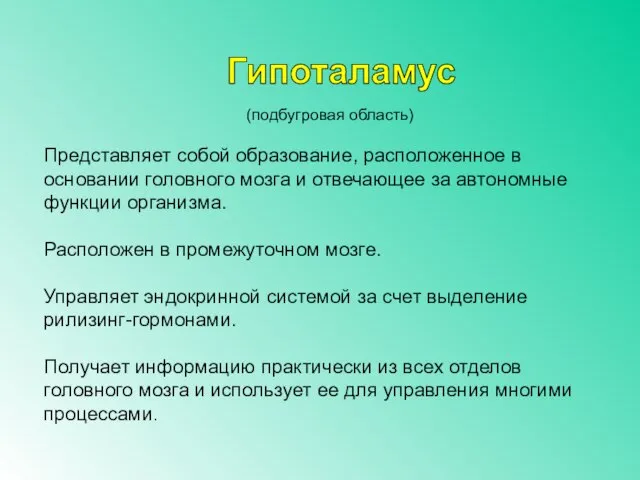 (подбугровая область) Представляет собой образование, расположенное в основании головного мозга и отвечающее