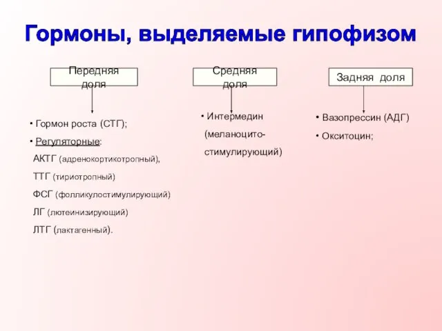 Передняя доля Гормон роста (СТГ); Регуляторные: АКТГ (адренокортикотропный), ТТГ (тириотропный) ФСГ (фолликулостимулирующий)