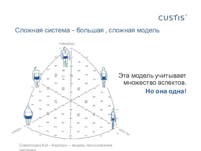 Сложная система – большая , сложная модель Эта модель учитывает множество аспектов.