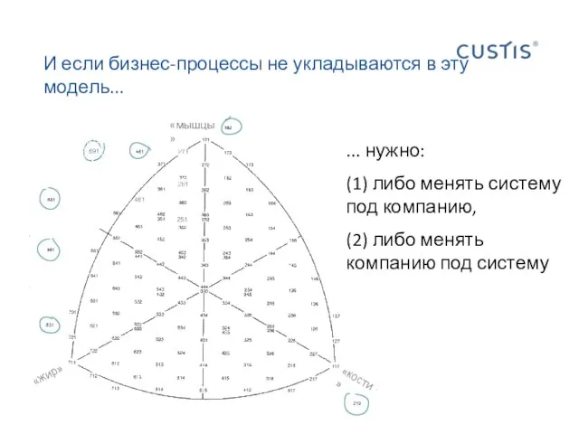 И если бизнес-процессы не укладываются в эту модель... «жир» «кости» «мышцы» ...