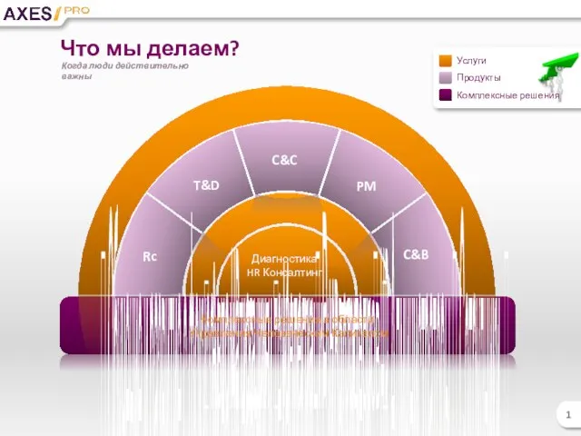  Обучение и развитие с фокусом на HR навыки и технологии 