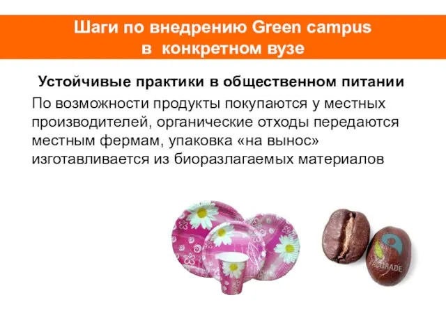 Шаги по внедрению Green campus в конкретном вузе Устойчивые практики в общественном