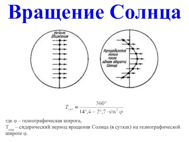 Вращение Солнца где φ – гелиографическая широта, Тсид – сидерический период вращения