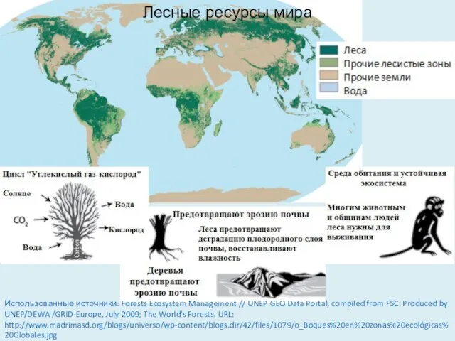 Использованные источники: Forests Ecosystem Management // UNEP GEO Data Portal, compiled from