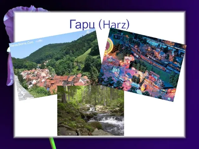 Гарц (Harz)