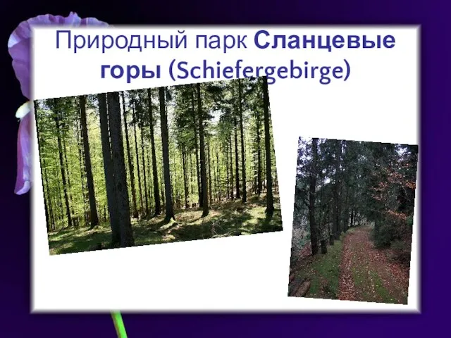 Природный парк Сланцевые горы (Schiefergebirge)