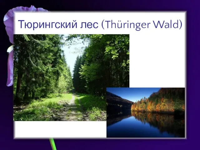 Тюрингский лес (Thüringer Wald)