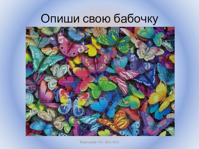 Опиши свою бабочку Воронцова Н.С. 2011-2012