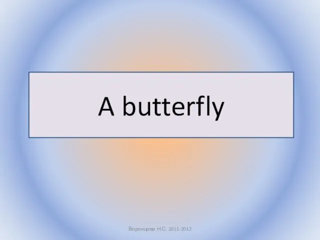 Воронцова Н.С. 2011-2012 A butterfly