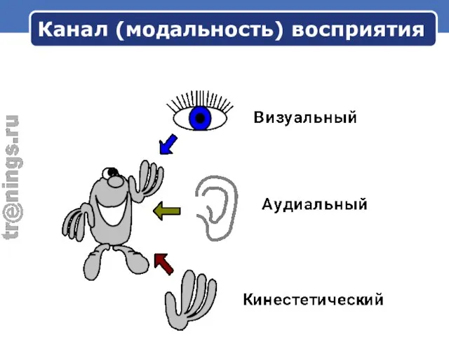 Канал (модальность) восприятия