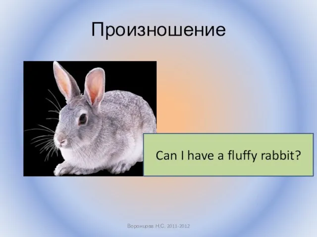 Произношение Воронцова Н.С. 2011-2012 Can I have a fluffy rabbit?