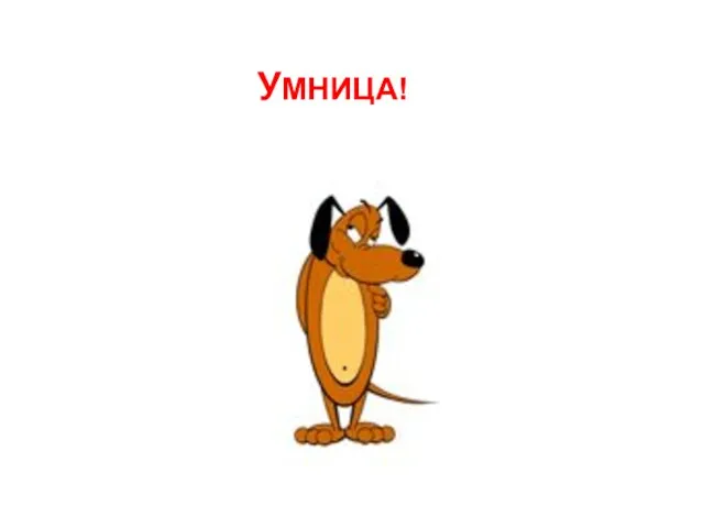 УМНИЦА!