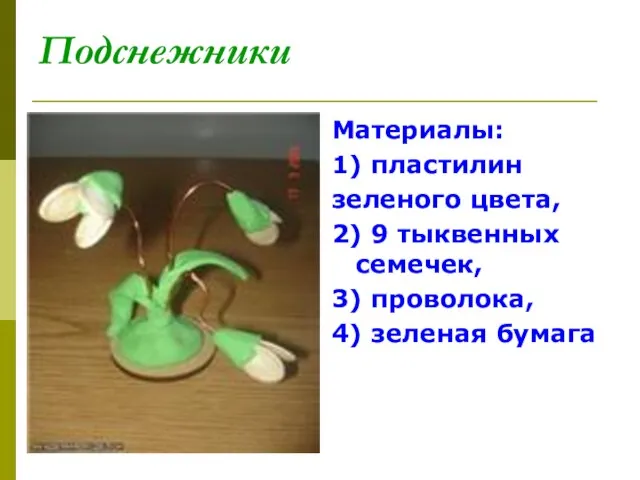 Подснежники Материалы: 1) пластилин зеленого цвета, 2) 9 тыквенных семечек, 3) проволока, 4) зеленая бумага