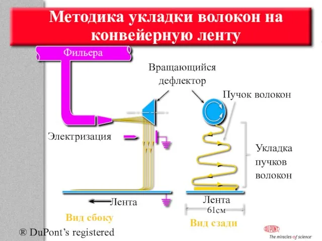 ® DuPont’s registered trademark Вращающийся дефлектор Фильера Электризация Лента Вид сбоку Пучок