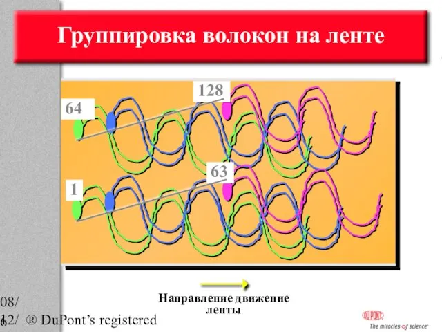 08/12/2023 ® DuPont’s registered trademark Направление движение ленты 64 128 1 63 Группировка волокон на ленте