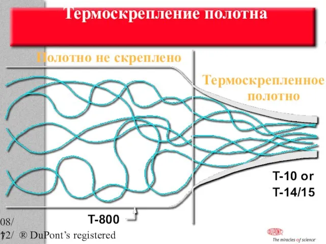 08/12/2023 ® DuPont’s registered trademark T-800 Полотно не скреплено Термоскрепленное полотно Термоскрепление полотна T-10 or T-14/15