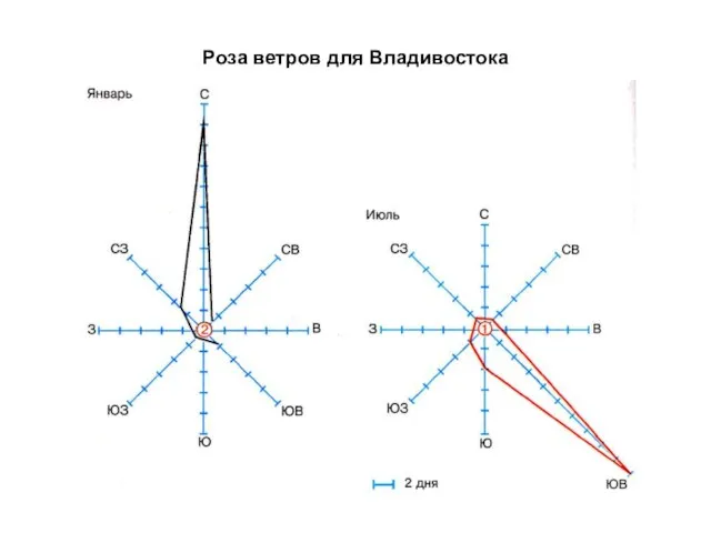 Роза ветров для Владивостока