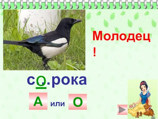 с…рока А или О Молодец! о