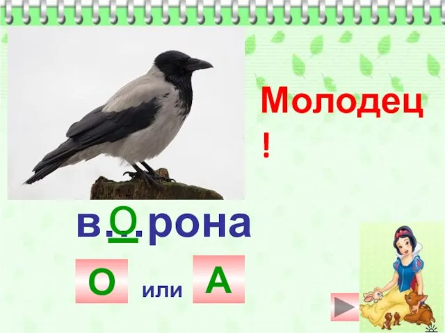 в…рона А или О Молодец! о