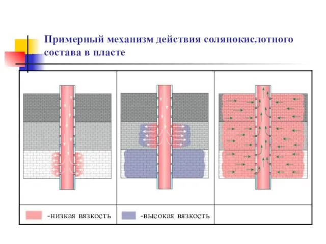 Примерный механизм действия солянокислотного состава в пласте