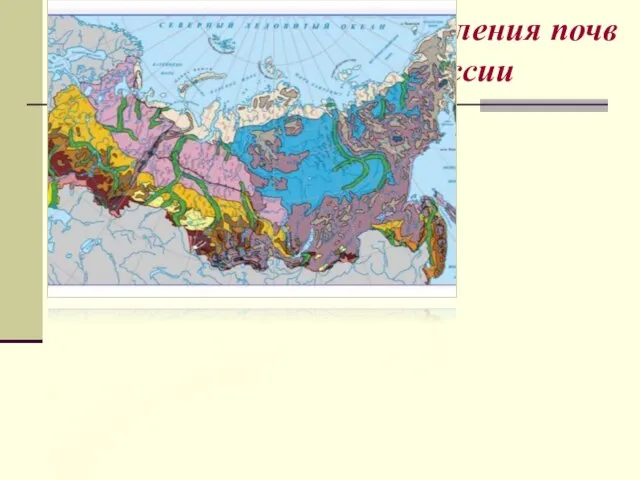 Закономерности распределения почв на территории России