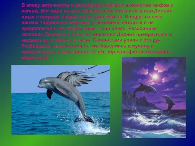 В эпоху античности о дельфинах слагали множество мифов и легенд. Вот одна