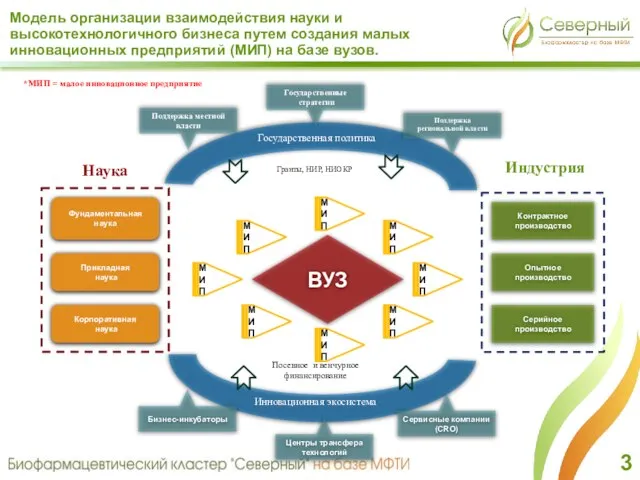 Модель организации взаимодействия науки и высокотехнологичного бизнеса путем создания малых инновационных предприятий (МИП) на базе вузов.