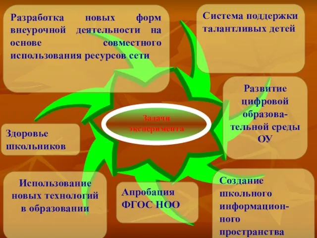 Разработка новых форм внеурочной деятельности на основе совместного использования ресурсов сети Система